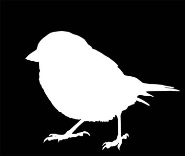 Sparrow vektör silueti çizimi siyah arkaplanda izole edildi. Küçük şehir kuş portresi sembolü. Şekil serçe gölgesi.