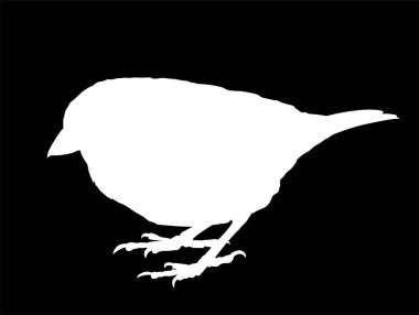 Sparrow vektör silueti çizimi siyah arkaplanda izole edildi. Küçük şehir kuş portresi sembolü. Şekil serçe gölgesi.