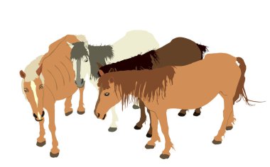 Beyaz arka planda izole edilmiş zarif çiftlik atları aile vektör illüstrasyonu. At sürüsü ahırda. Hipodrom spor jeti seti eğlencesi. Soylu hayvan..