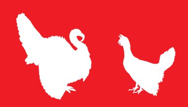 Erkek hindiye karşı orman tavuğu vektör silueti çizimi izole edildi. Orman çayır yaban hayatı kuşları. Hindi şekilli erkek, hindi yiyen. Kaz gölgesi. Kuş izleme. Hayvanat bahçesi parkındaki Plumage. Heather horoz.