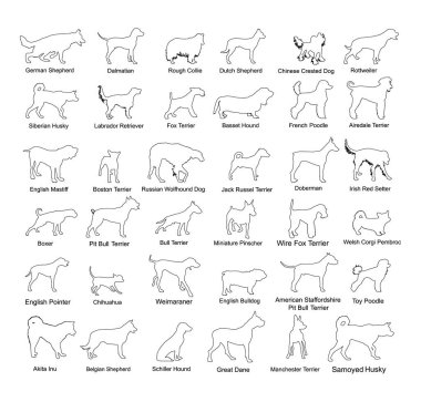 Köpek cinsi, koleksiyon vektör çizgisi siluet çizelgesini izole etti. Pitbull terrier, tel tilki terrier, corgi, Alman kurt köpeği, tazı, doberman, husky, kaniş, rottweiler. Köpek şekli gölgesi.