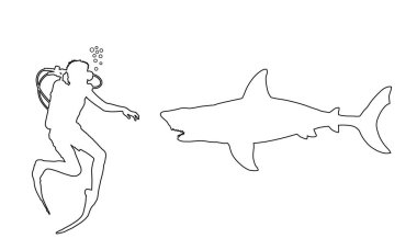 Büyük beyaz köpekbalığı vektör siluetini izole eden bir hat dalgıcı. Yüzme biyolojisi araştırması. Cesur çocuk kaşif, su altında köpekbalığına karşı. Deniz yaban hayatında korkunç bir sahne.