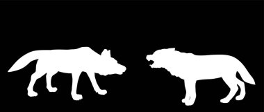 Siyah arka planda izole edilmiş vektör silüetine karşı Alpha Wolf dövüşü. Dişiyle çiftleşmek için canavar savaşı. Şekli erkek kurt köpek dövüşü, çoban gölgesi koyunları koruyor..