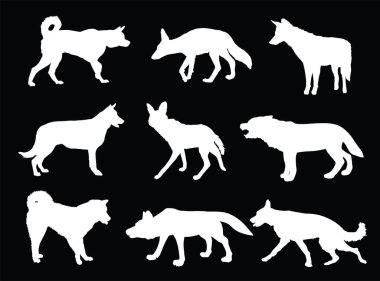 Wolf, coyote,jackal and dog collection vector silhouette illustration isolated. Maned wolf. Husky and Akita Inu. Wolf shape shadow. Dog breeds. Coyote and jackal beast symbol. Wild and pet animal. clipart