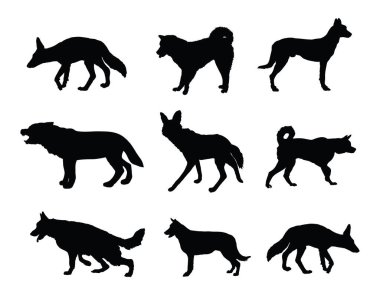 Kurt, çakal, çakal ve köpek koleksiyonu vektör silueti izole edildi. Kurtadam kurdu. Husky ve Akita Inu. Kurt şeklinde gölge. Köpek yetiştirir. Çakal ve çakal canavar sembolü. Vahşi ve evcil hayvan.