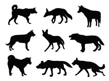 Kurt, çakal, çakal ve köpek koleksiyonu vektör silueti izole edildi. Kurtadam kurdu. Husky ve Akita Inu. Kurt şeklinde gölge. Köpek yetiştirir. Çakal ve çakal canavar sembolü. Vahşi ve evcil hayvan.