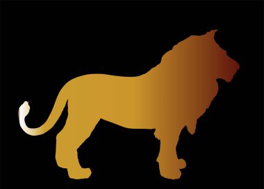 Altın aslan vektör silüeti arkaplanda izole edilmiş. Hayvanlar Kralı 'nın gölge şekli. Büyük kedi. Afrika 'nın gururu. Leo Zodiac sembolü. Vahşi yaşam yırtıcısı. Aslan altın. Afrika 'nın büyük beş üyesi.