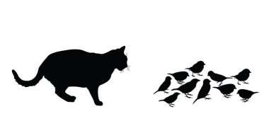 Şişman, aç kedi, kuş sürüsü vektör silueti çizimini izole etti. Serçe yemek için pusuya yatmış kedi. Kedi avcısı av peşinde. Akşam yemeği için kedi yakalayan kuş. Yerli çiftlik yırtıcısı. Ev hayvanı avı.