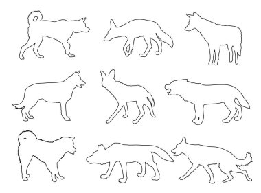 Kurt, çakal, çakal ve köpek koleksiyonu vektör silueti izole edildi. Kurtadam kurdu. Husky, Akita Inu. Kurt şeklinde gölge. Köpek yetiştirir. Çakal canavar sembolü. Vahşi hayvan hattı..