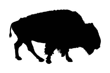 Bizon vektör silueti çizimi beyaz arkaplanda izole edildi. Bufalo erkek portresi, Amerika 'nın sembolü. Güçlü hayvan, Hint kültürü..