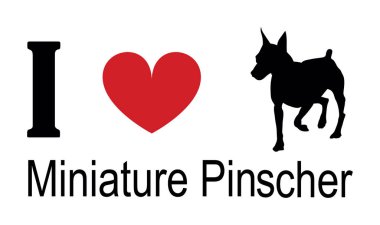Minyatür Pinscher tişört baskı amblem pankartına bayılırım. Köpek Minyatür Pinscher siluet çıkartması rozet tasviri izole edildi. Köpeğe dikkat et. Mans en iyi arkadaş. Sevimli hayvan komik köpek maskotu.