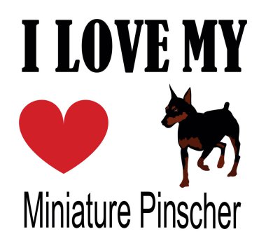 Minyatür Pinscher tişört baskı amblem pankartına bayılırım. Portre köpeği Minyatür Pinscher çıkartma rozet çizimi izole edildi. Köpeğe dikkat et. Mans en iyi arkadaş. Sevimli hayvan komik köpek maskotu..