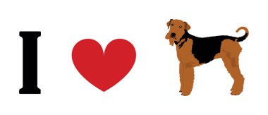 Airedale Terrier tişört baskısı amblem pankartına bayılırım. Köpeğin portresi Airedale Terrier çıkartması rozet çizimi izole edildi. Köpeğe dikkat et. Mans en iyi arkadaş. Sevimli hayvan komik köpek maskotu.