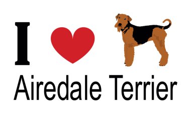 Airedale Terrier tişört baskısı amblem pankartına bayılırım. Köpeğin portresi Airedale Terrier çıkartması rozet çizimi izole edildi. Köpeğe dikkat et. Mans en iyi arkadaş. Sevimli hayvan komik köpek maskotu.