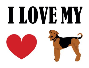 Airedale Terrier tişört baskısı amblem pankartına bayılırım. Köpeğin portresi Airedale Terrier çıkartması rozet çizimi izole edildi. Köpeğe dikkat et. Mans en iyi arkadaş. Sevimli hayvan komik köpek maskotu.