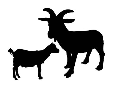 Beyaz arka planda izole edilmiş çiftlik keçisi ve bebek vektör çizimi. Çiftlik hayvanı aile şekli, keçi ve keçi sembolü gölgesi.