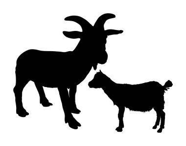 Beyaz arka planda izole edilmiş çiftlik keçisi ve bebek vektör çizimi. Çiftlik hayvanı aile şekli, keçi ve keçi sembolü gölgesi.