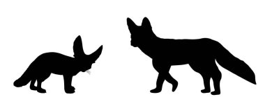 Fennec tilkisine karşı Red fox vektör silueti çizimi arka planda izole edildi. Akıllı yırtıcı hayvan gölgesi. Küçük çöl tilkisi sembolü, Vulpes zerda. 