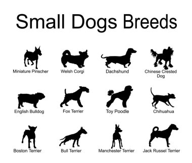 Küçük köpek silueti koleksiyon vektör illüstrasyonunu izole etti. Veteriner kliniği ya da kuaför salonu için köpek posteri. Köpek türlerinin eğitimi gölge şeklindedir..