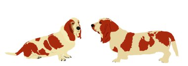 Basset av köpekleri aşık vektör çizimi yapan çift izole edildi. Dachshund köpek şekli. Basset ailesi poz veriyor. Köpeğe dikkat et. Çocuklar için en iyi arkadaş. Evcil hayvan, evin aile ferdi. Safkan..