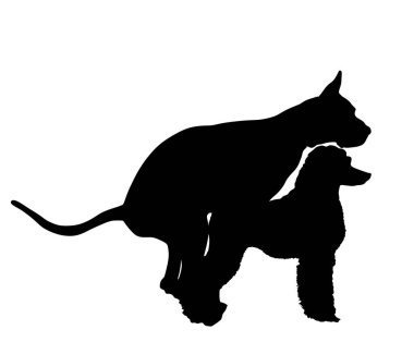 Aşık köpek çift vektör silueti çizimi izole edildi. Danua, Fino ile çiftleşiyor..