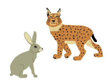 Kurnaz vaşak avcısı, izole edilmiş bir tavşan vektör çizimini gizliyor. Akıllı hayvan avcısı. Arkasında aç vaşak avı tavşanı var. Orman yaban hayatı besin zinciri tehlikesi. Vahşi kedi av peşinde..