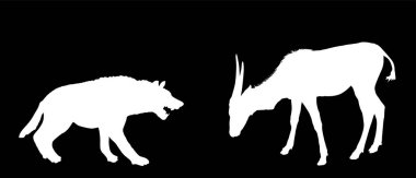 Sırtlan saldırısı antilop vektör silueti izole edildi. Kızgın hayvan yemek için savaşıyor. Etoburlar, antiloplara karşı savaşıyor. Vahşi yaşam Afrika safarisi hayatta kalma savaşı. Korkunç canavar av avlıyor..