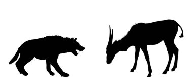 Sırtlan saldırısı antilop vektör silueti izole edildi. Kızgın hayvan yemek için savaşıyor. Etoburlar, antiloplara karşı savaşıyor. Vahşi yaşam Afrika safarisi hayatta kalma savaşı. Korkunç canavar av avlıyor..