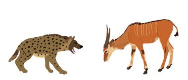 Sırtlan saldırısı antilop vektör çizimi izole edildi. Kızgın hayvan yemek için savaşıyor. Etoburlar, antiloplara karşı savaşıyor. Vahşi yaşam Afrika safarisi hayatta kalma savaşı. Korkunç canavar av avlıyor..