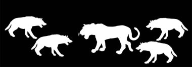 Sırtlanlar, dişi aslan vektör siluetine saldırıyor. Kızgın hayvan, yaşam ve yiyecek için savaşıyor. Vahşi kedi etobur kadın gururu Afrika 'da hayatta kalma mücadelesi veriyor..