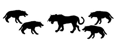 Sırtlanlar, dişi aslan vektör siluetine saldırıyor. Kızgın hayvan, yaşam ve yiyecek için savaşıyor. Vahşi kedi etobur kadın gururu Afrika 'da hayatta kalma mücadelesi veriyor..