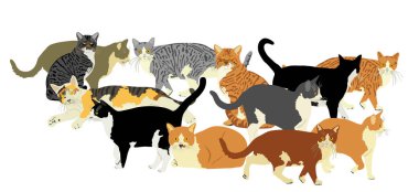 Arka planda birçok kedi vektör illüstrasyonundan oluşan bir grup var. Kedi ailesi. Sevimli, dost canlısı. Çizgi film kedisi ailesi. Evde ya da çiftlikte evcil hayvan.