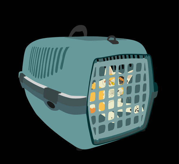 Кошка-телепортатор на несущей векторной иллюстрации изолирована на заднем плане. Дружественный транспорт для домашних животных. Прекрасный член семьи в клетке транспортировки. Домашние животные в городском доме.
