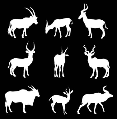 Antilop ve ceylan vektör siluetini izole etti. Afrika antilobu, Eland, Impala, Waterbuck, Kudu, Dorcas, Nyala. Afrika geyiği. Safari Afrika av kupası. Güçlü geyik boynuzları boynuzlu hayvanlar otçul hayvanlar.