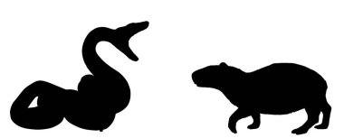 Anakonda yılan saldırısı Capybara vektör silueti çizimi izole edildi. Hayatta kalan sulama yeri sürüngen boa ile hayvanlara karşı savaşıyor. Yırtıcı etobur yılan en büyük kemirgen formunda pusuda bekliyor..