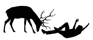 Geyik, yere düşen ve yer vektörü siluetinin üzerinde izole bir şekilde yatan adama saldırır. Kocaman boynuzları olan kızgın bir hayvan bölgeyi davetsiz misafirlere karşı korur. Açık hava hayvanat bahçesi savaşçısı tehlikede..