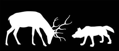 Kurt vektör silüetine karşı geyik görüntüsü izole edildi. Öfkeli hayvan tehlikesi, hayvan dövüşüne saldırır. Güçlü geyik geyiği alfa kurda karşı savaşıyor. Vahşi yaşam av için çatışma içgüdüsü.