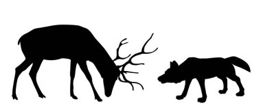 Kurt vektör silüetine karşı geyik görüntüsü izole edildi. Öfkeli hayvan tehlikesi, hayvan dövüşüne saldırır. Güçlü geyik geyiği alfa kurda karşı savaşıyor. Vahşi yaşam av için çatışma içgüdüsü.