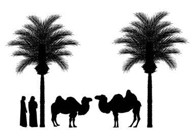Arap adam ve arkadaşı Şeyh ve deve çifti palmiye ağacı vektör silüeti altında izole edilmiş. Geleneksel kıyafet giymiş Arap şeyhi gölge şeklinde. Afrika 'da çöl vahası. Dubai 'deki lüks serap..