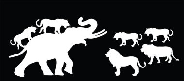 Aslan sürüsü, fil erkek vektör silueti saldırısında izole edildi. Dişi aslan ve aslan erkek, dişleri ve çeneleriyle büyük kızgın bir hayvana saldırıyor. Hayvan kralı büyük kedi. Afrika vahşi yaşam biçimi.