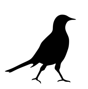 Magpie vektör silueti çizimi arka planda izole edildi. Magpie kuşunun gölge sembolü. Şehir hayvan maskotu.