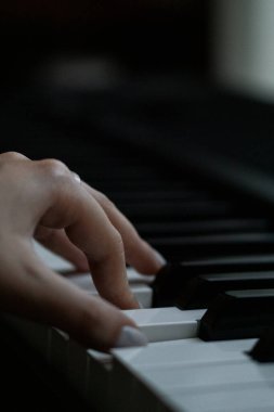 Piyano çalan kişi siyah-beyaz klasik müzik çalar. Yüksek kalite fotoğraf