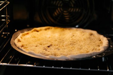 Elektrikli fırında peynirli pizza pişirmek. Yüksek kalite fotoğraf