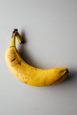 A close-up of an yellow a very ripe fruit banana with dark spots on its peel on a gray white background is a disputed food. High quality photo clipart