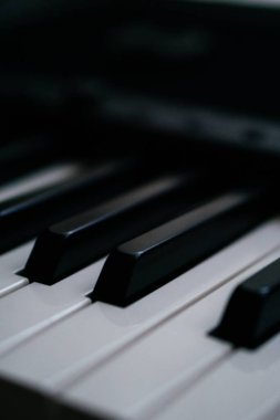 Piyano çalan kişi siyah-beyaz klasik müzik çalar. Yüksek kalite fotoğraf