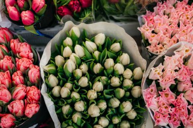 Pembe, mor ve şeftalinin çeşitli tonlarında taze lalelerden oluşan canlı bir karışım, buketler içinde güzelce düzenlenmiş. Yüksek kalite fotoğraf