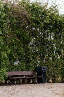 Uzun yeşil kozalaklı ağaçlarla çevrili bir çöp kutusunun yanında duran sessiz bir park bankı huzurlu ve tenha bir atmosfer yaratıyor. Yüksek kalite fotoğraf