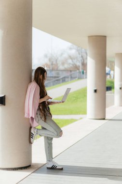 Dışarıda pembe dizüstü bilgisayarda okuyan genç bir öğrenci güzel bir havada modern bir üniversite binasında serbest çalışıyor. Yüksek kalite fotoğraf