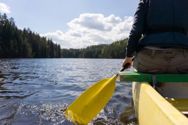 Estonya 'da sakin bir orman gölünde kano macerası. Güneş ışığı ve manzaralı. Yüksek kalite fotoğraf