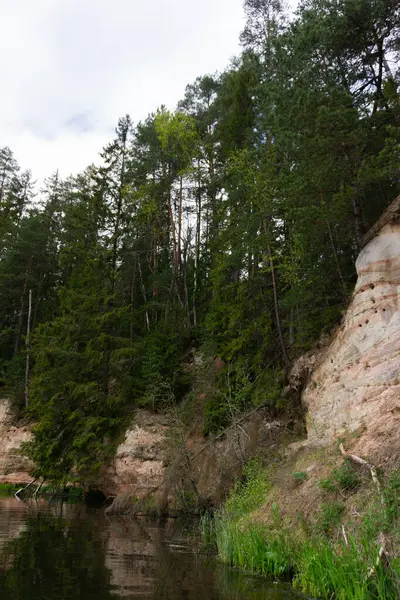 Evergreen Ağaçları ile çevrili Sakin Orman Nehrindeki Karanlık Mağara Girişi ve Yansımaları ile Yosun Yosun Tepesi. Yüksek kalite fotoğraf